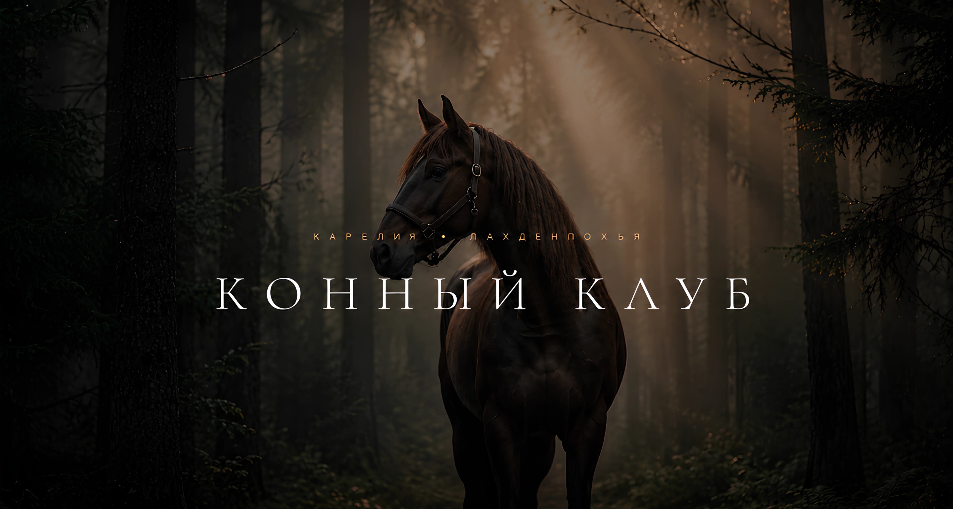 Лошадь в туманном лесу